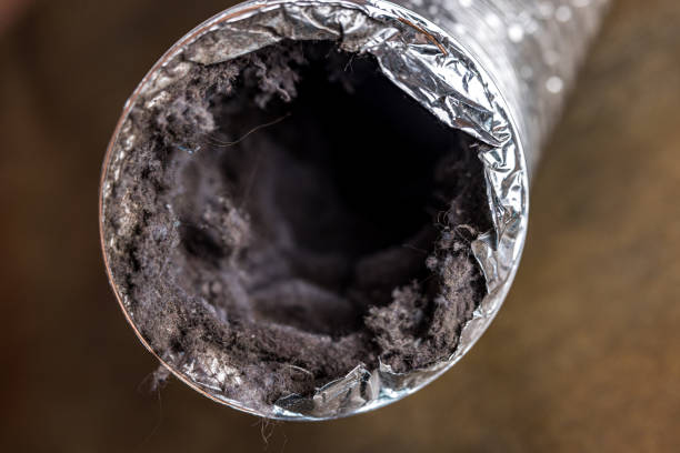 Air Duct Mold Removal in Greenfields, PA